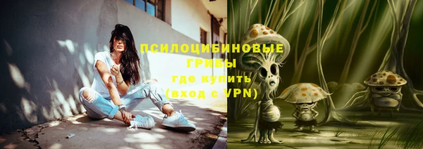 метадон Армянск