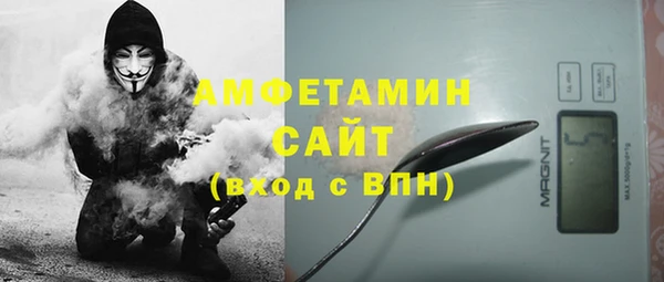 сатива Балахна