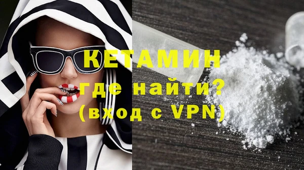сатива Балахна