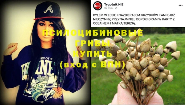 прущая мука Баксан