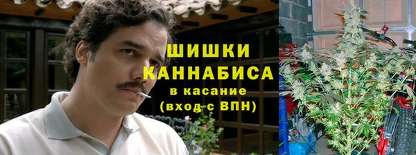 сатива Балахна