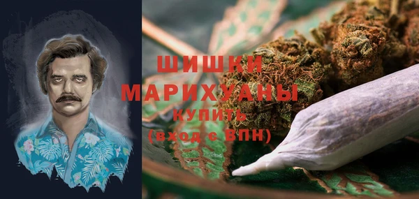 сатива Балахна