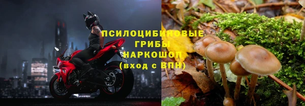 прущая мука Баксан